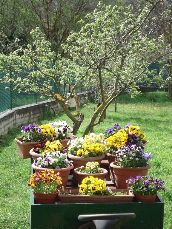 Bed and Breakfast Abruzzo Segreto Navelli Екстер'єр фото